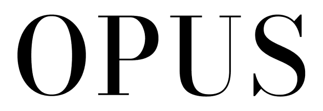 Partner